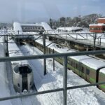 雪…そして、また雪が降る…